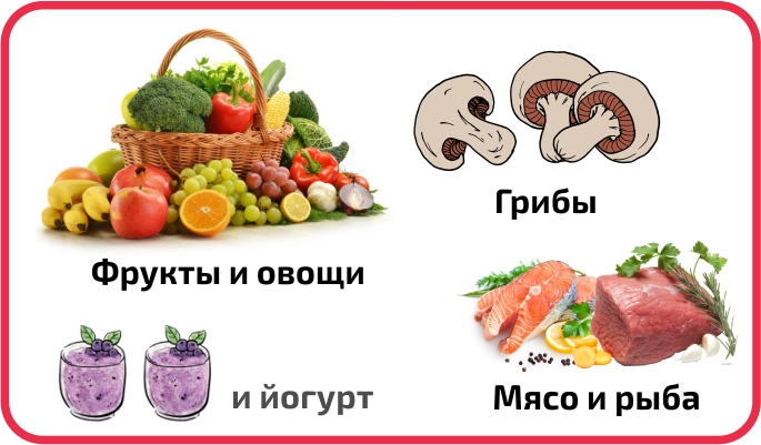 Сушильные аппараты для овощей, фруктов, грибов в Санкт-Петербурге